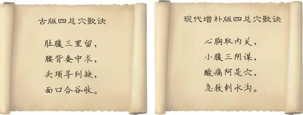 穴位按摩的纲领穴