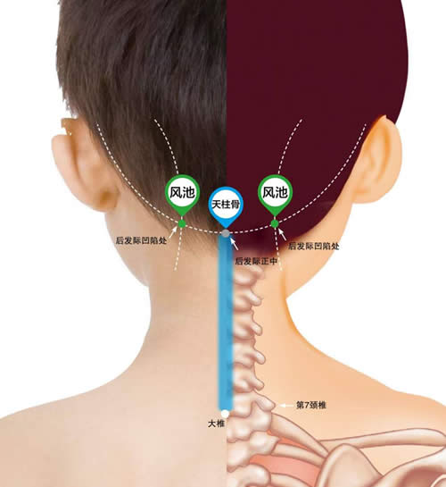 推天柱骨止呕、治头痛要穴