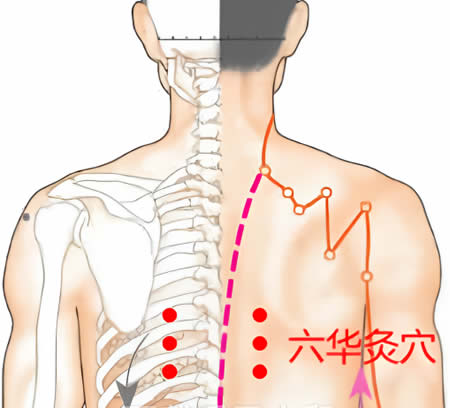 六华灸穴的正确位置图
