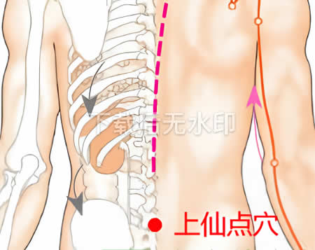上仙点穴的正确位置图