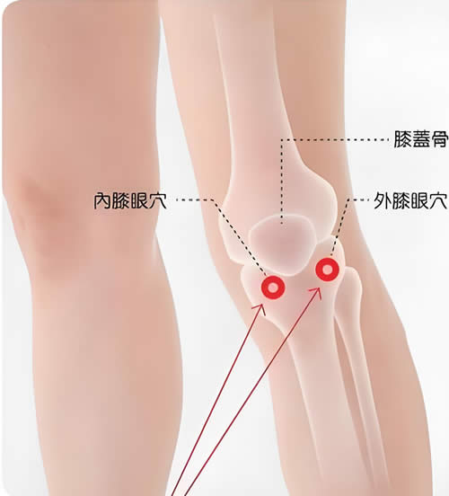 膝眼穴的正确位置图