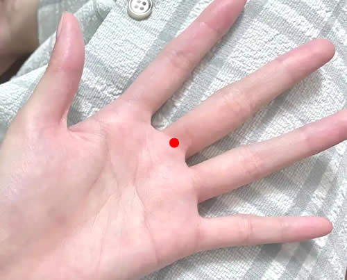 口内点穴的正确位置图