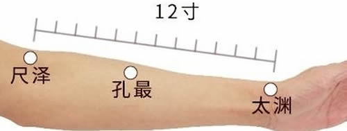 孔最穴的正确位置图