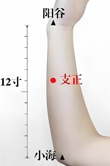 支正穴的正确位置图